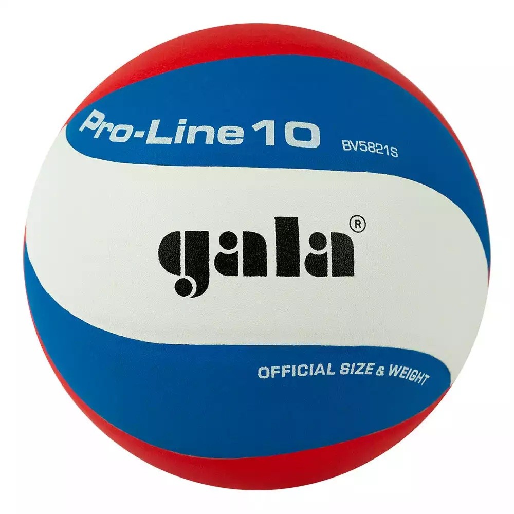 Мяч волейбольный Gala Pro-Line 10 - фото