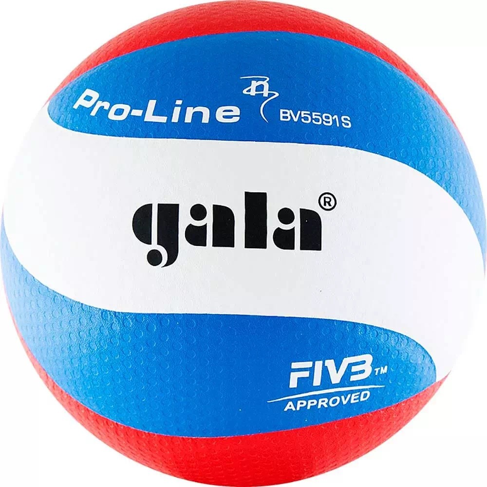 Мяч волейбольный Gala Pro-Line FIVB - фото