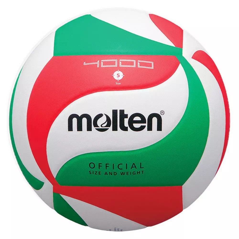 Мяч волейбольный Molten V5M4000 - фото