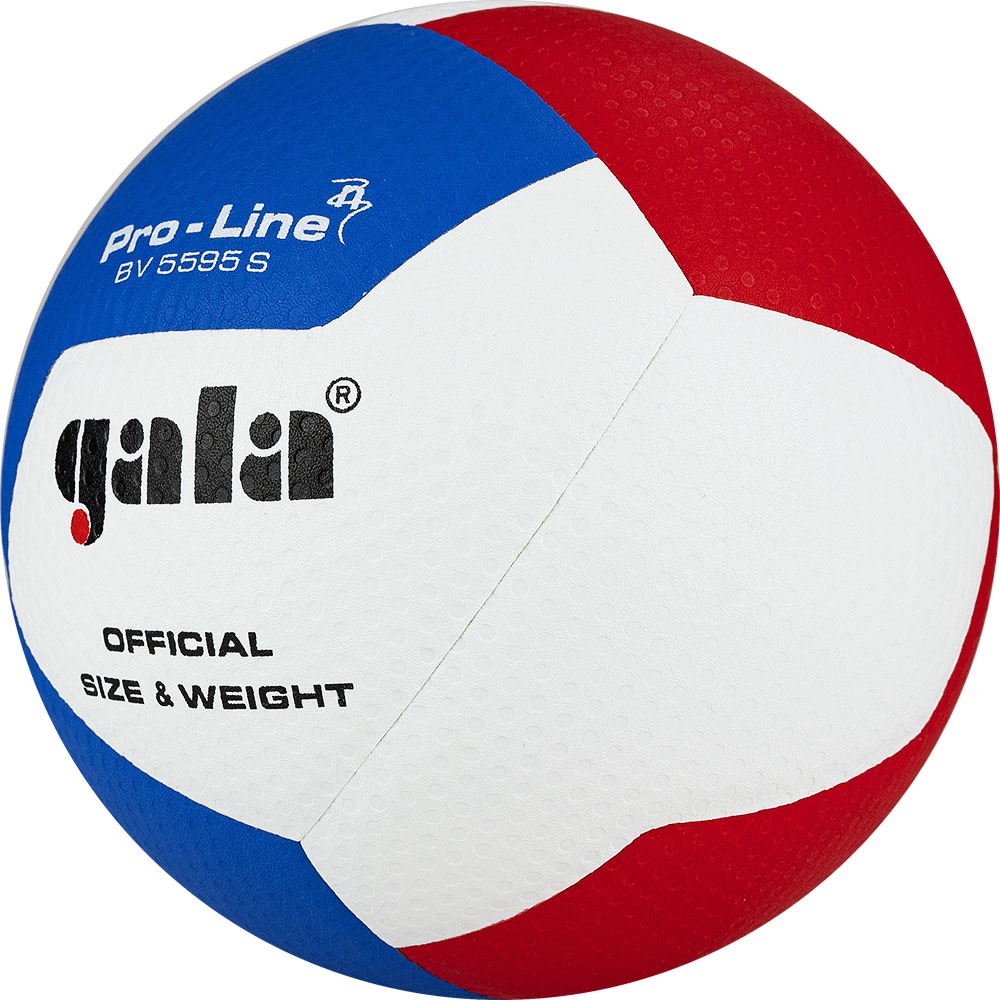 Волейбольный мяч Gala PRO-LINE 12 BV5595SA - фото4