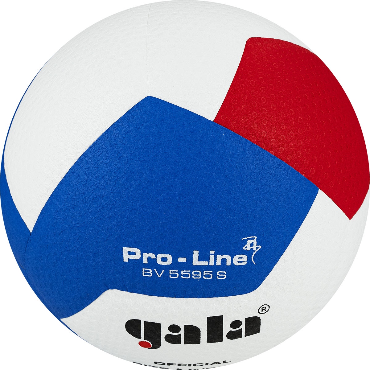 Волейбольный мяч Gala PRO-LINE 12 BV5595SA - фото3