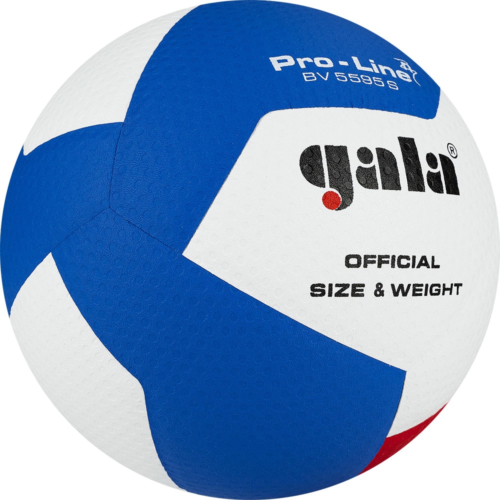 Волейбольный мяч Gala PRO-LINE 12 BV5595SA - фото2