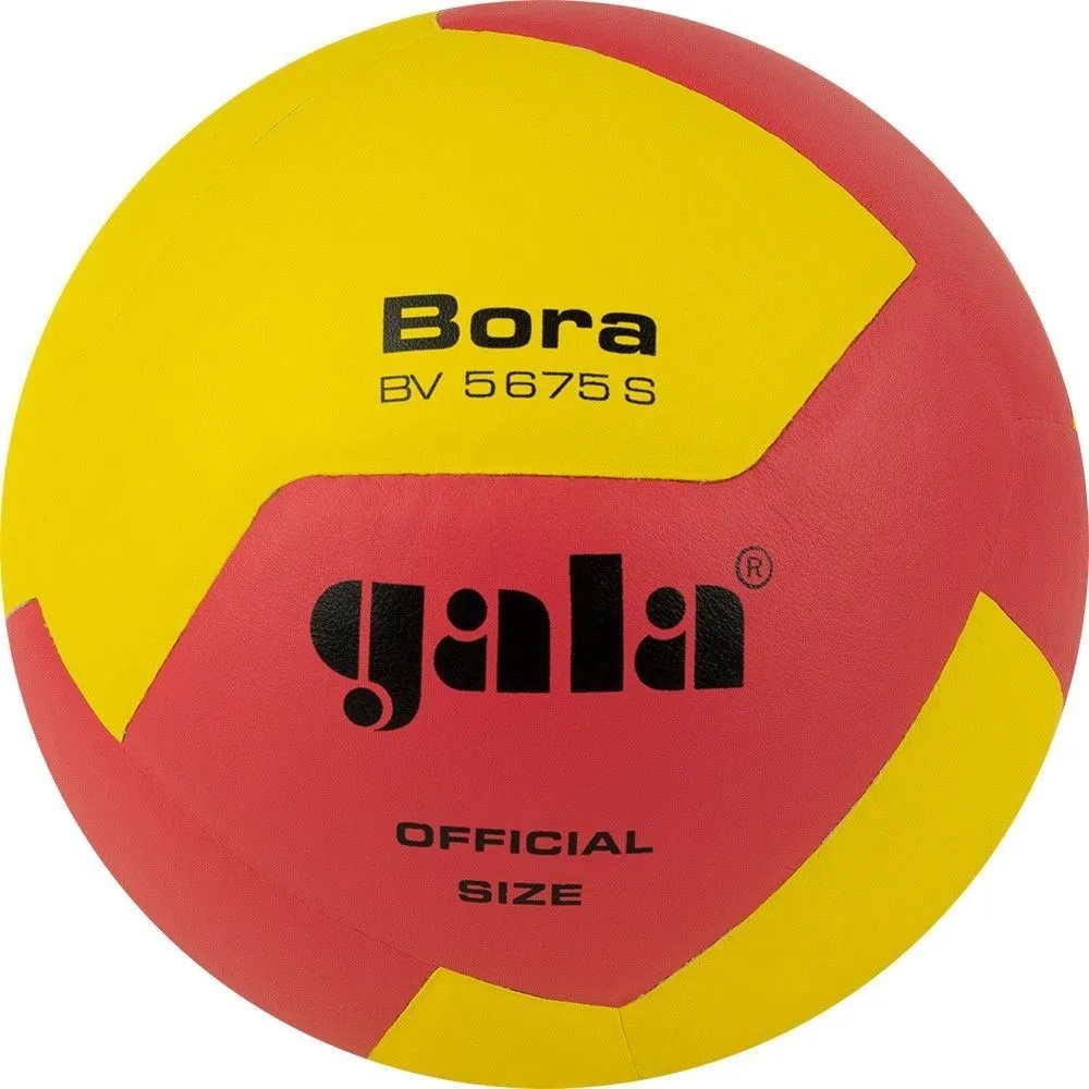 Мяч волейбольный Gala Bora 12 - фото