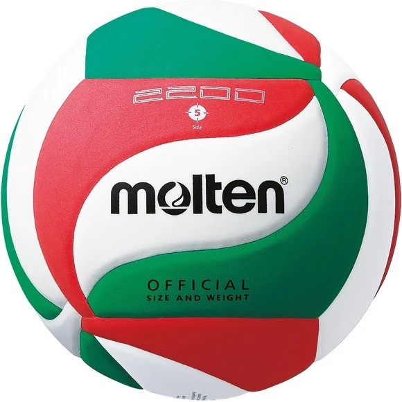 Мяч волейбольный Molten V5M2200 - фото