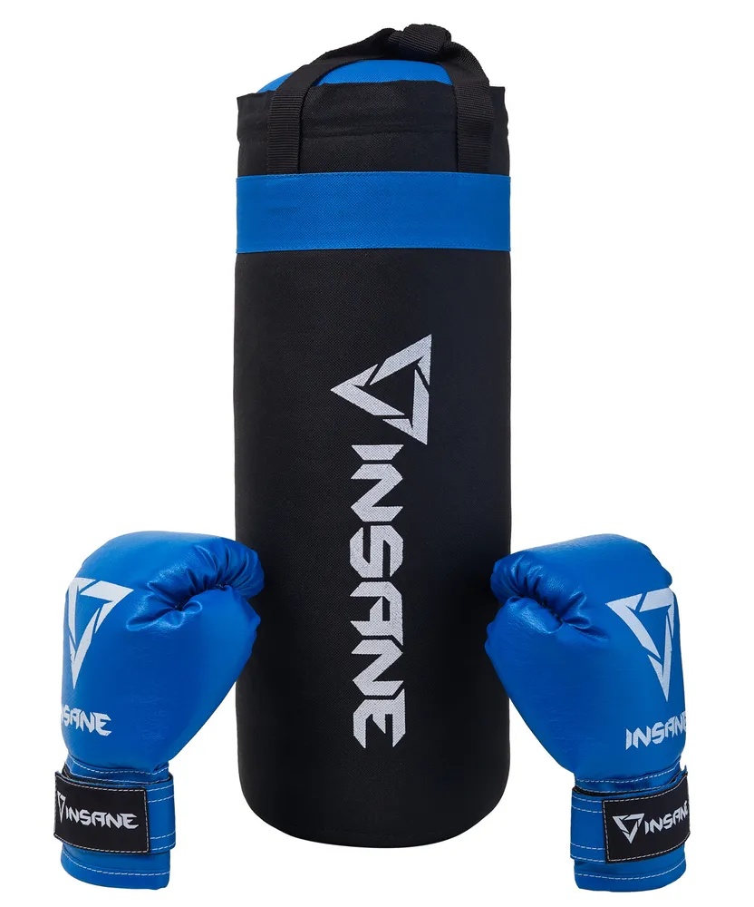 Набор для бокса (груша + перчатки) INSANE FIGHT, синий, 45х20 см, 2,3 кг, 6 oz - фото