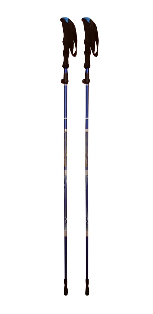 Палки для скандинавской ходьбы FORA XG-03, телескоп., длина 65-135 см (синия) - фото