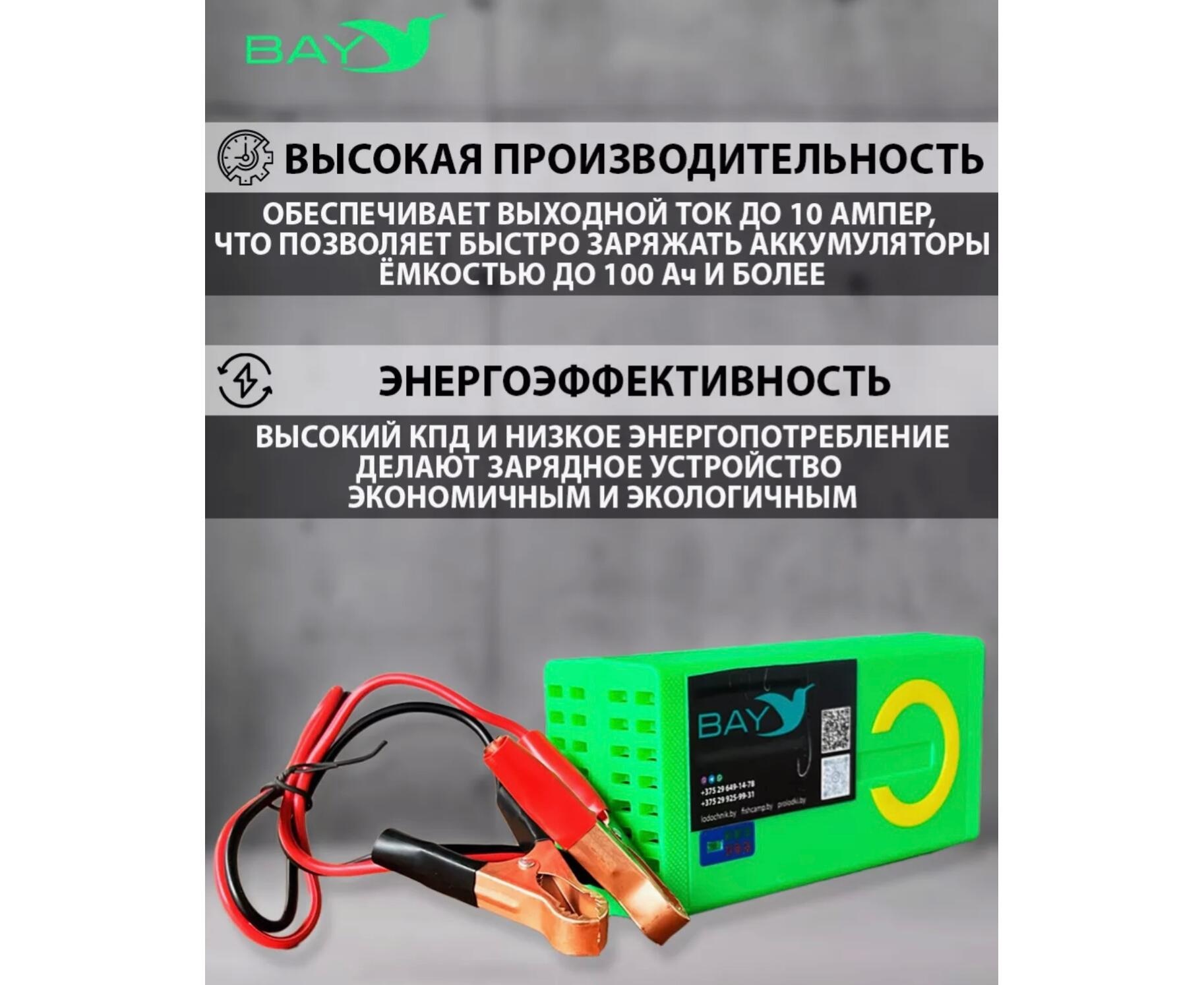 Зарядное устройство BAY LiFePO4 12V 10A - фото2