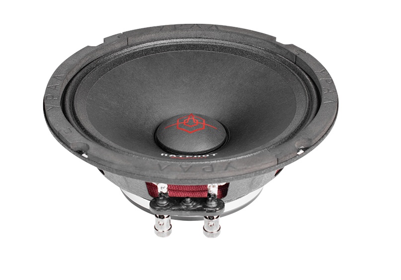 Мидрейндж акустическая система УРАЛ ПАТРИОТ АС-ПТ165 - фото