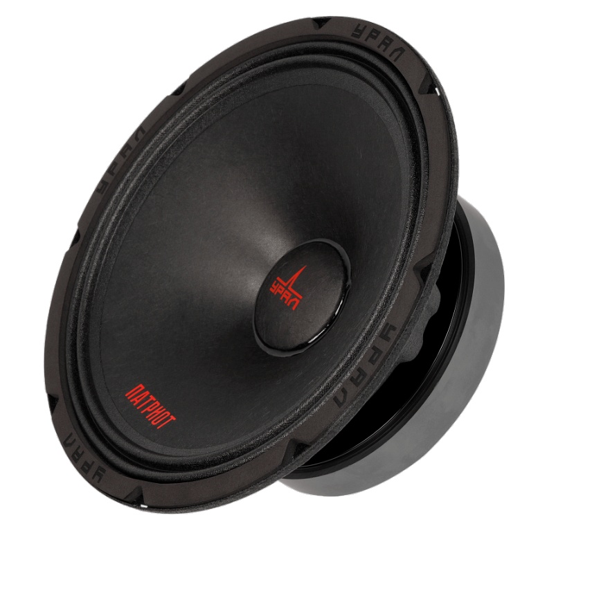 Мидрейндж акустическая система УРАЛ ПАТРИОТ АС-ПТ200.2 - фото