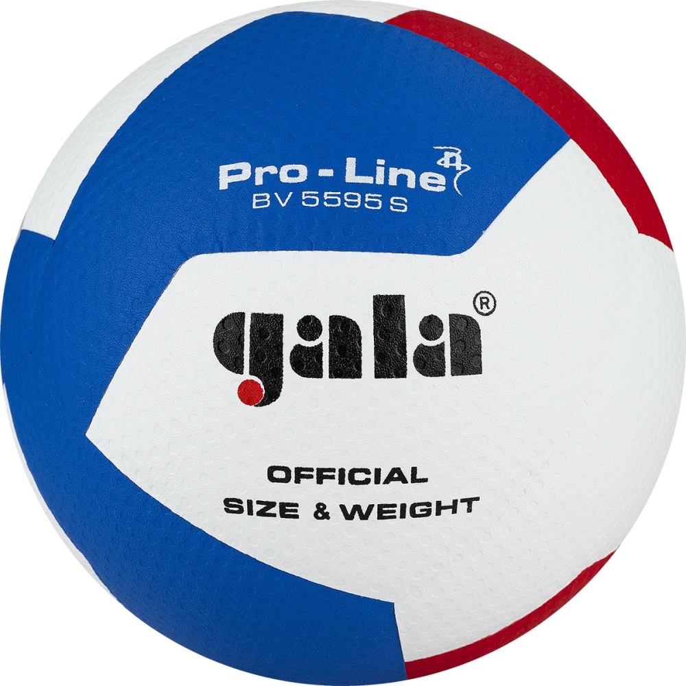 Волейбольный мяч Gala PRO-LINE 12 - фото