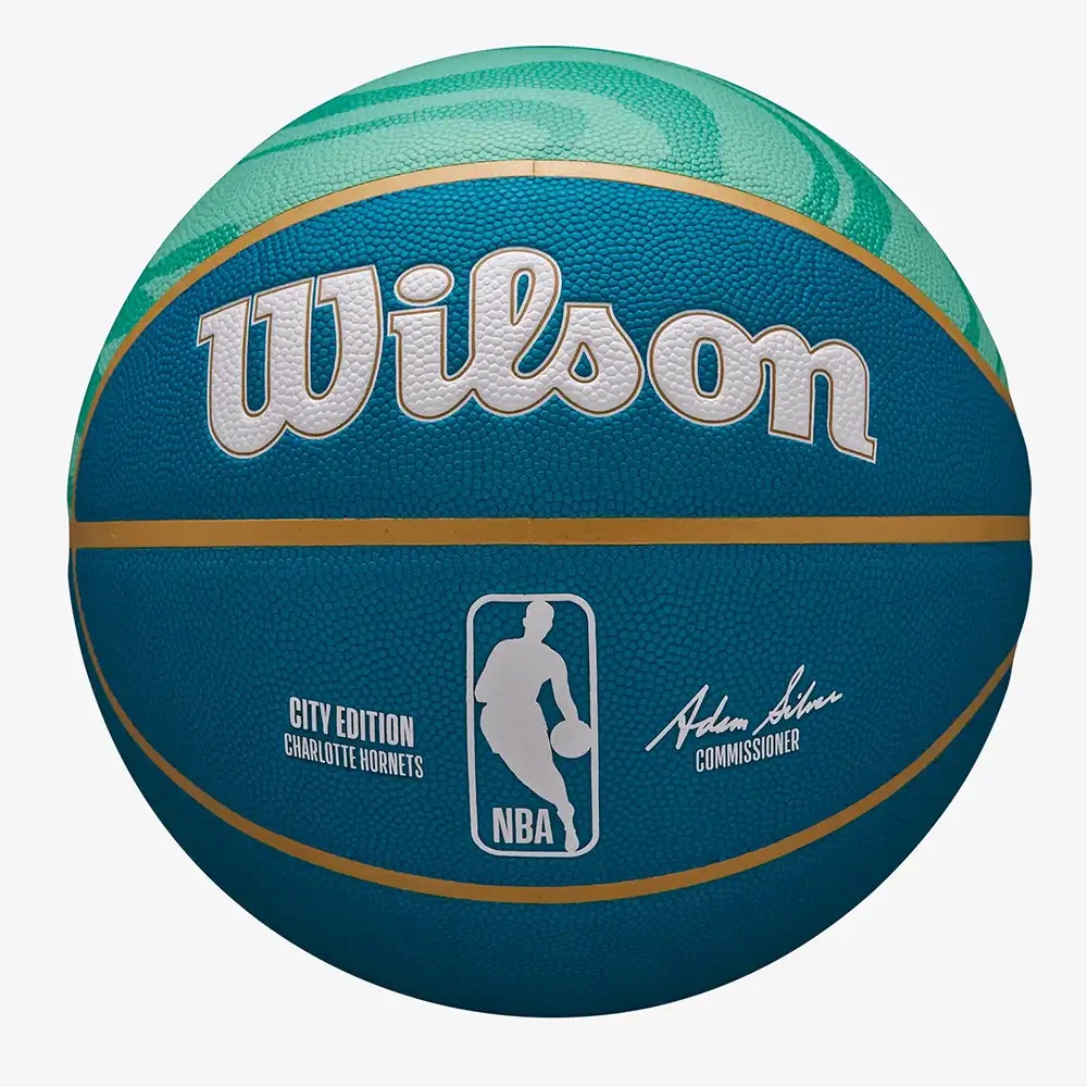 Мяч баскетбольный 7-го размера Wilson NBA TEAM CITY COLLECTOR Charlotte Hornets - фото