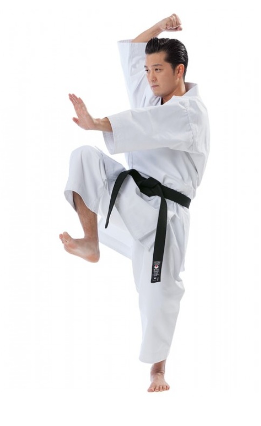 Кимоно карате TOKAIDO KATA MASTER SILVER WKF ATKMJ (Japan style) (170-190) - фото3, картинка3 Кимоно карате TOKAIDO KATA MASTER SILVER WKF ATKMJ (Japan style) (170-190) - фото3