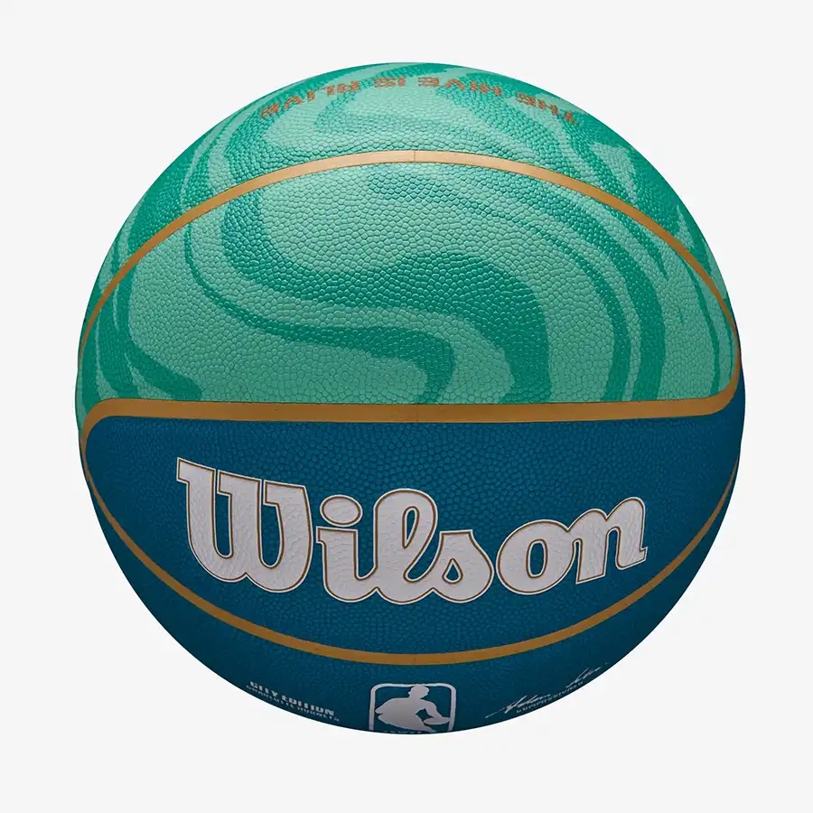 Мяч баскетбольный 7-го размера Wilson NBA TEAM CITY COLLECTOR Charlotte Hornets - фото3