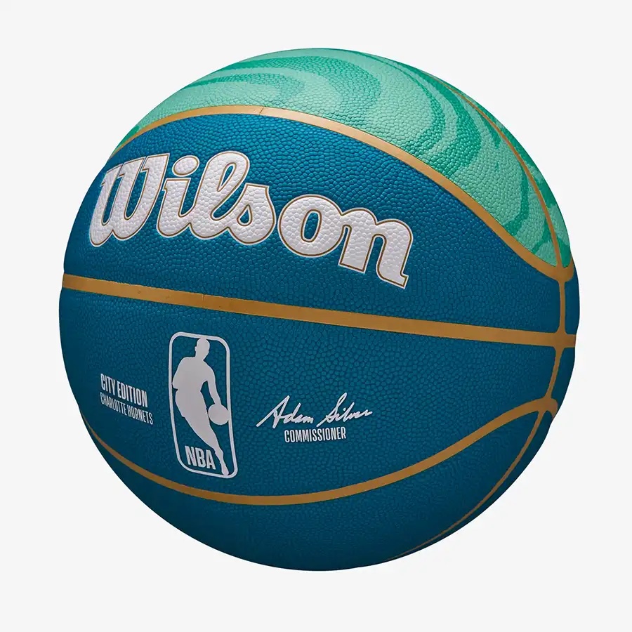 Мяч баскетбольный 7-го размера Wilson NBA TEAM CITY COLLECTOR Charlotte Hornets - фото5