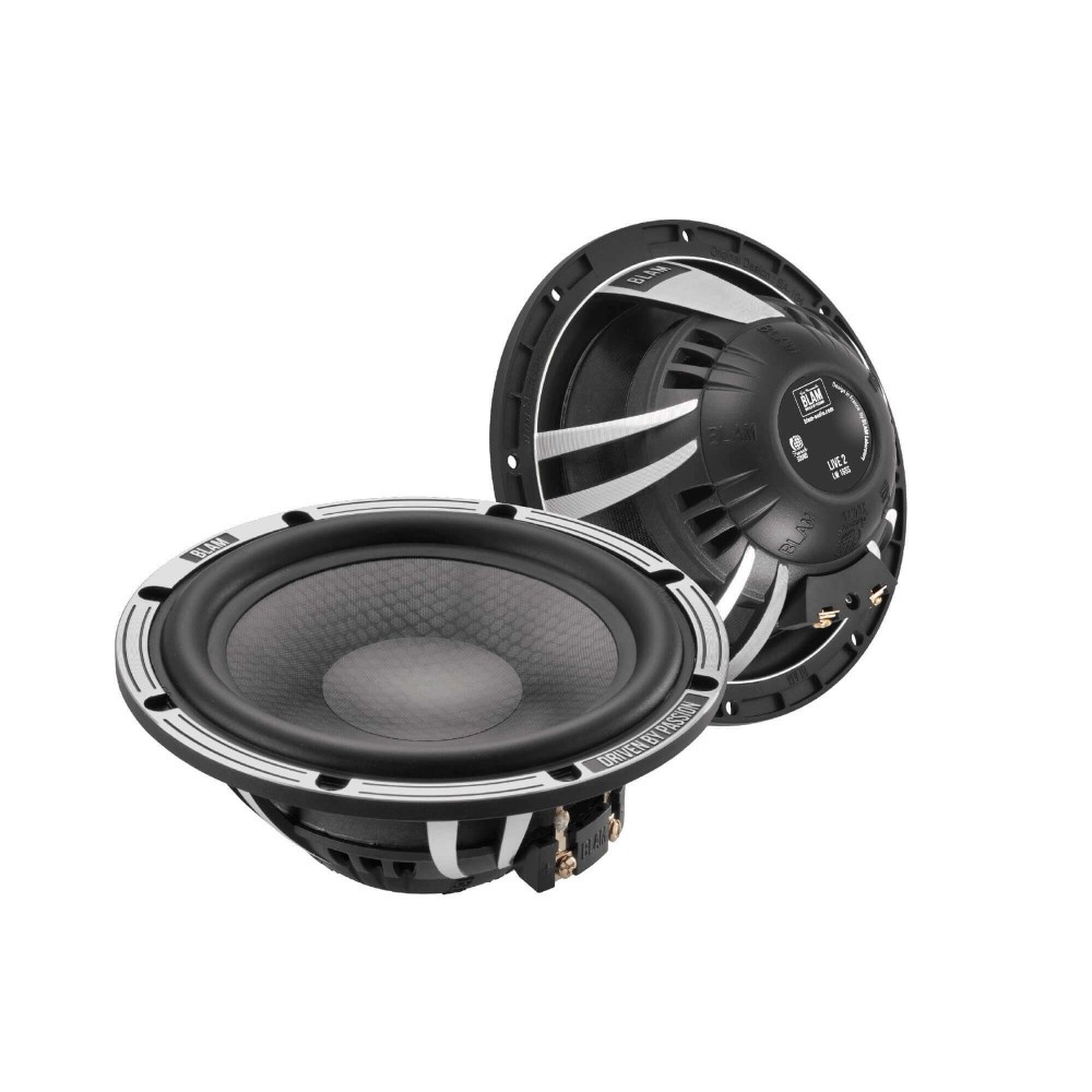 Мидбасы, акустическая система BLAM LW165S - фото