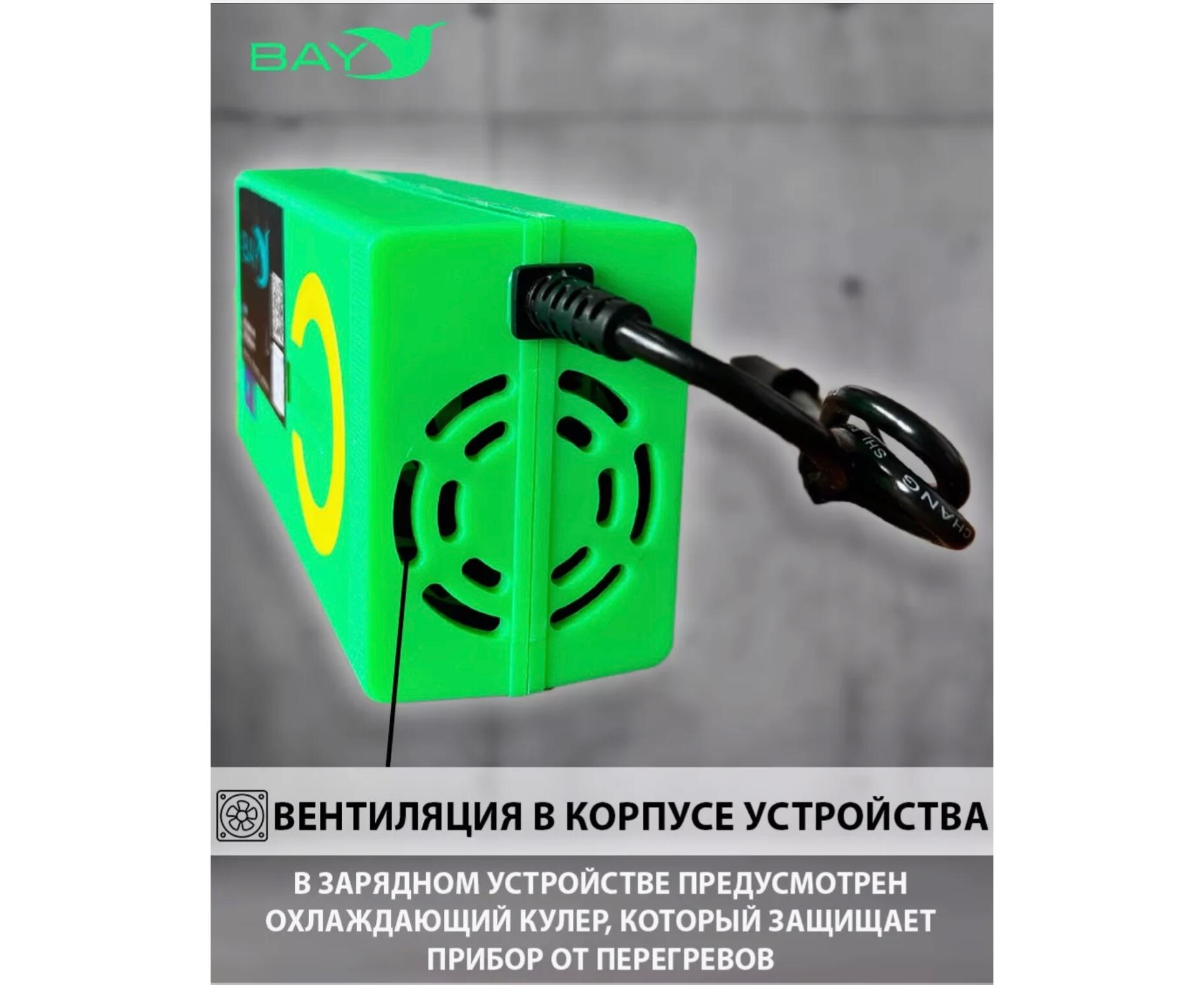 Зарядное устройство BAY LiFePO4 12V 10A - фото5