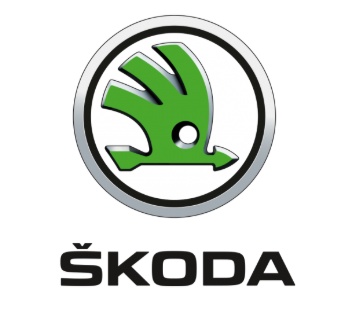 Переходные рамки для автомобилей SKODA