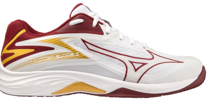 Кроссовки волейбольные Mizuno THUNDER BLADE 3	  - фото