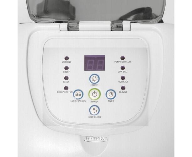 Система санобработки воды в бассейне Intex 26666 Saltwater and ozone (230 вольт) - фото4