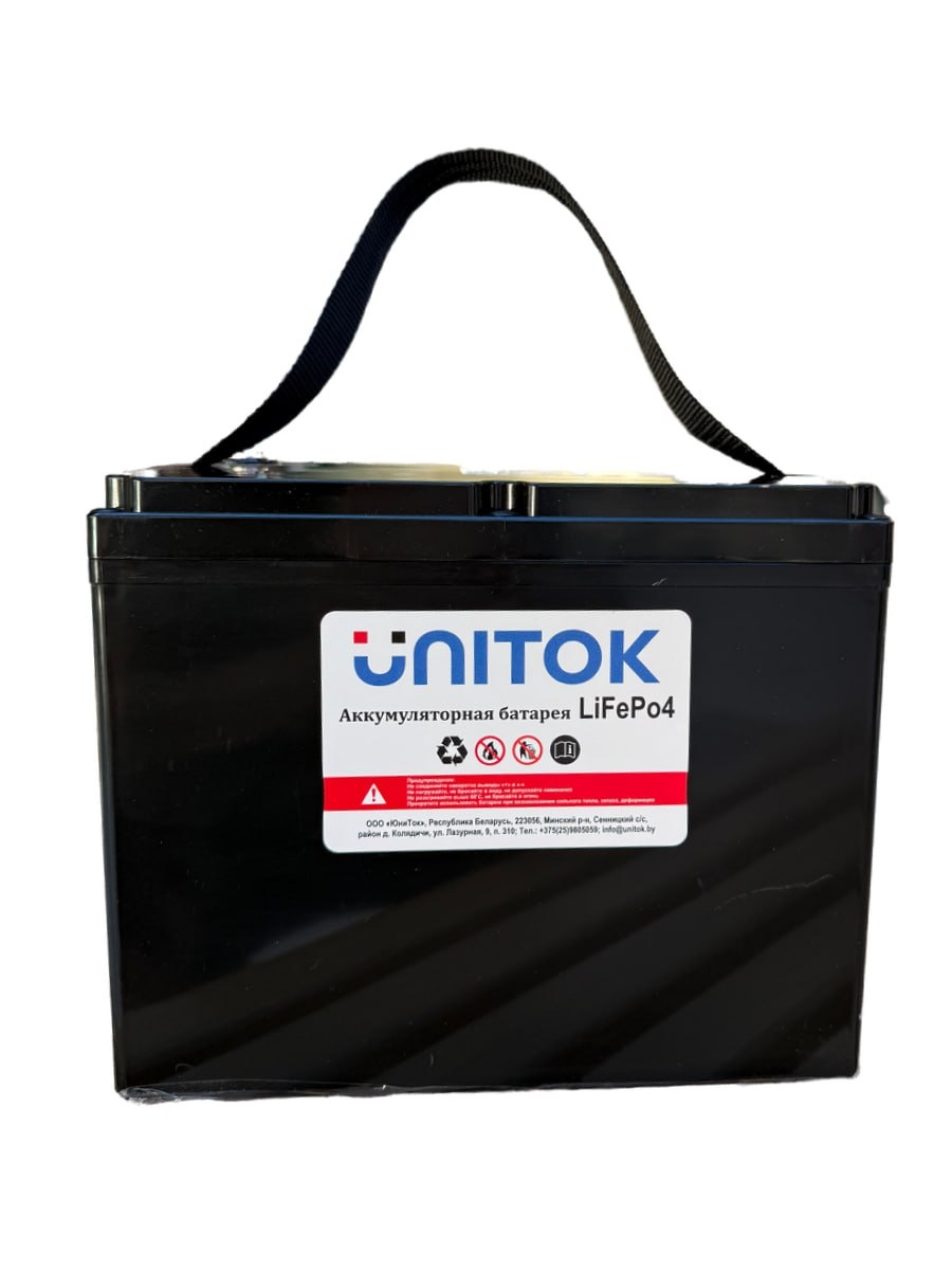 Аккумулятор UniTok Lifepo4 12V 100Ah D 12-100 - фото