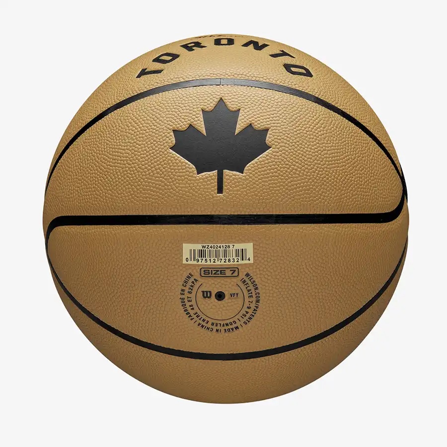 Мяч баскетбольный 7-го размера Wilson NBA TEAM CITY COLLECTOR Toronto Raptors - фото2