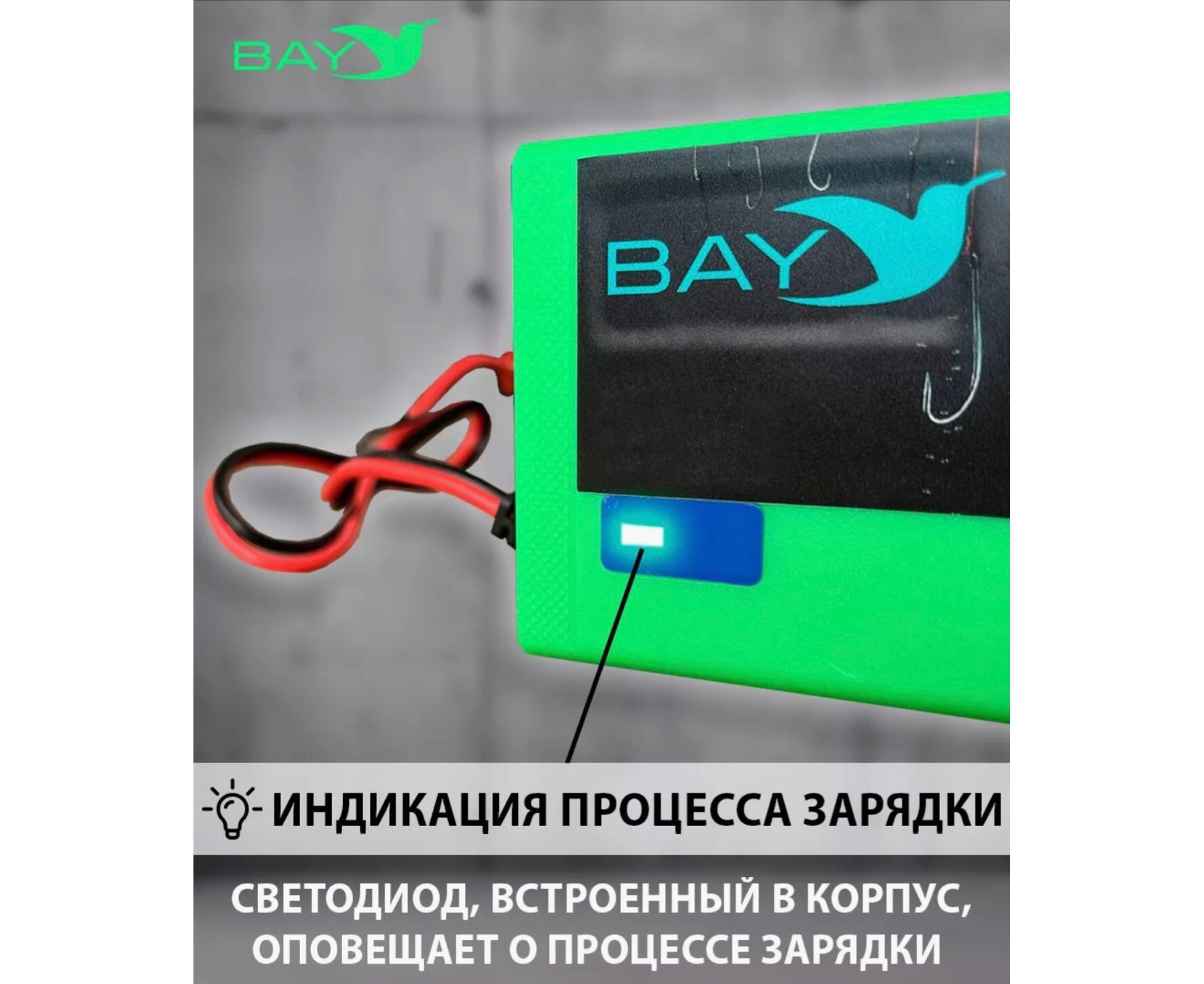 Зарядное устройство BAY LiFePO4 12V 10A - фото4